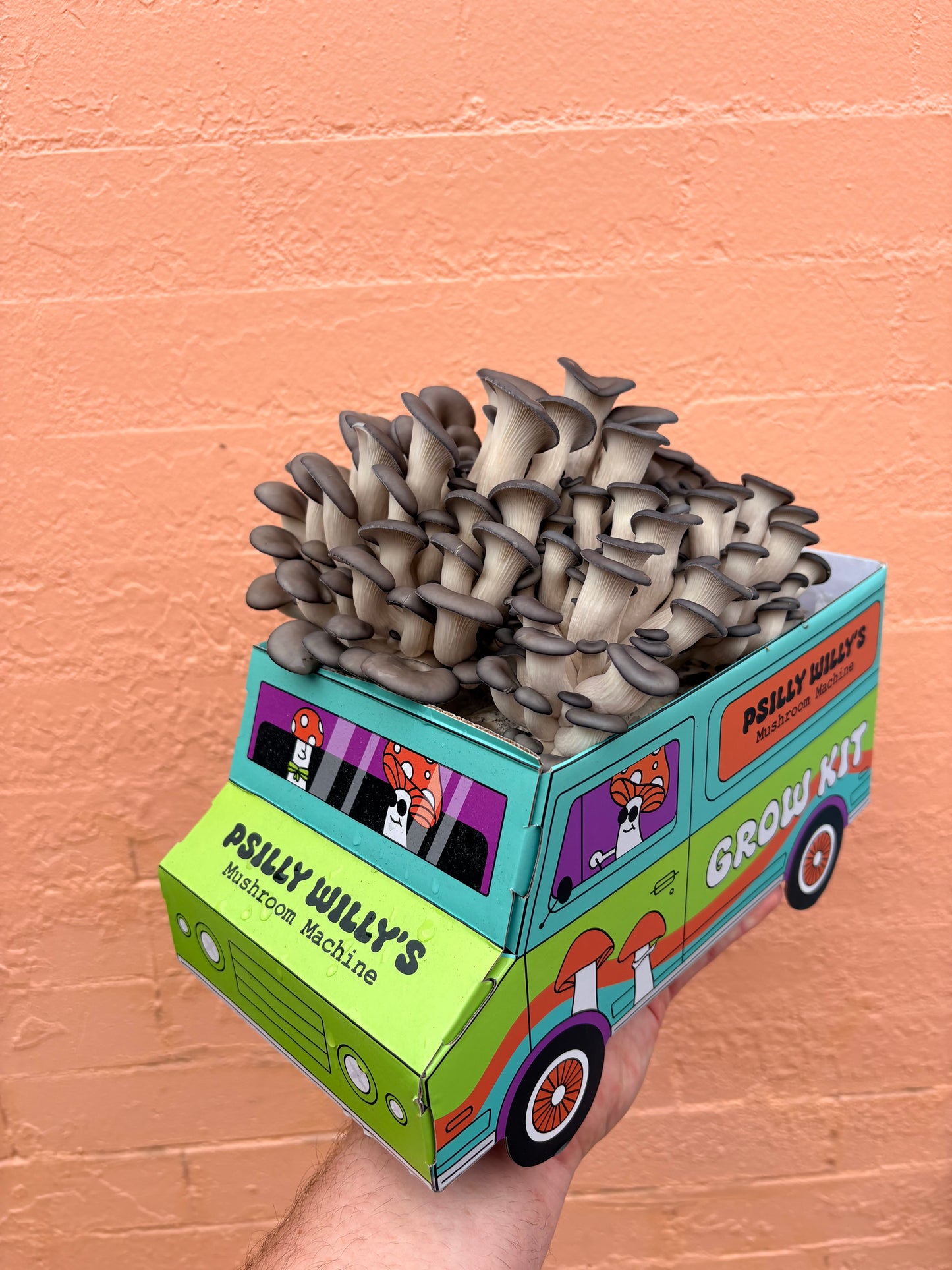 Oyster Mushroom Machine