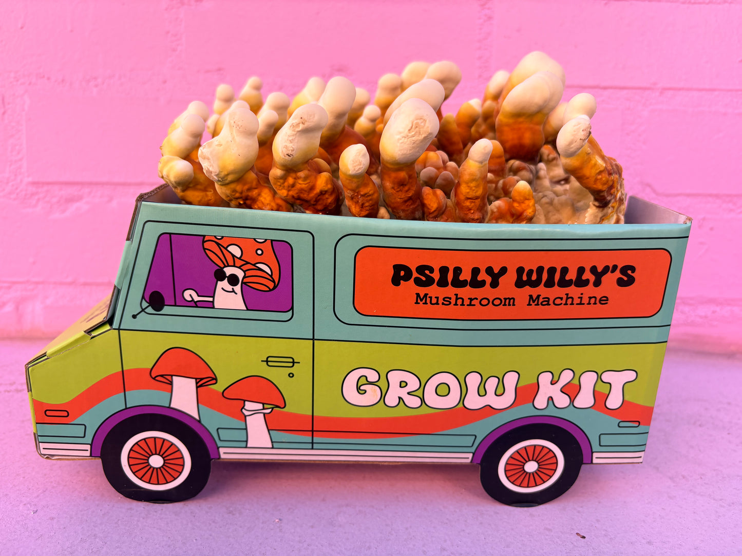 Reishi Mushroom Machine