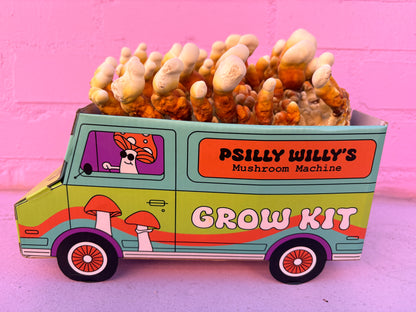 Reishi Mushroom Machine