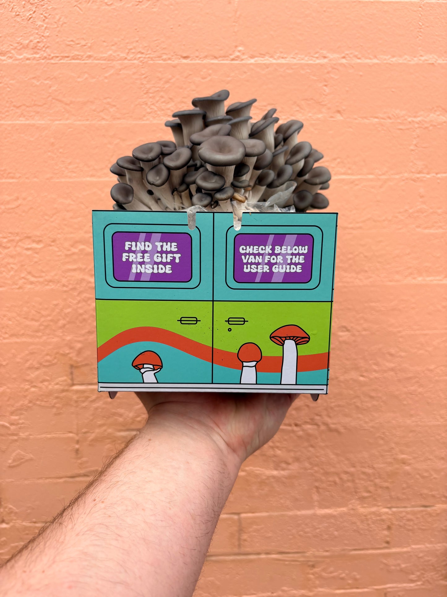 Oyster Mushroom Machine