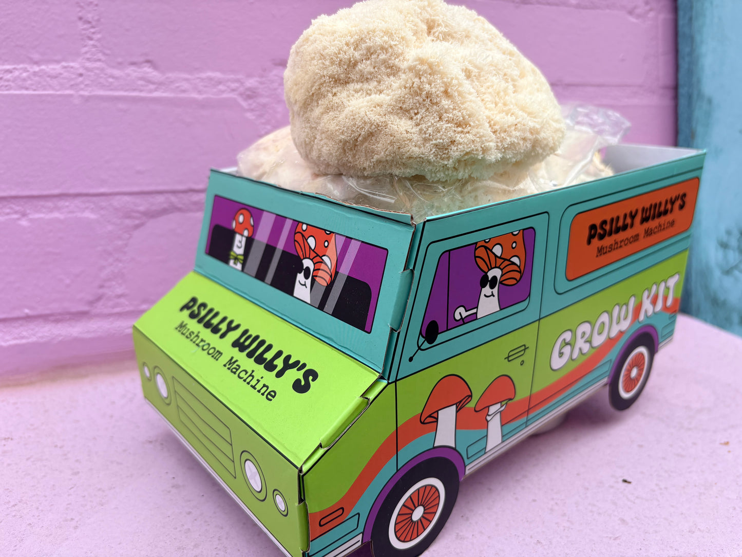 Lions Mane Mushroom Machine