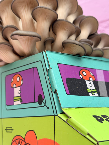 Oyster Mushroom Machine