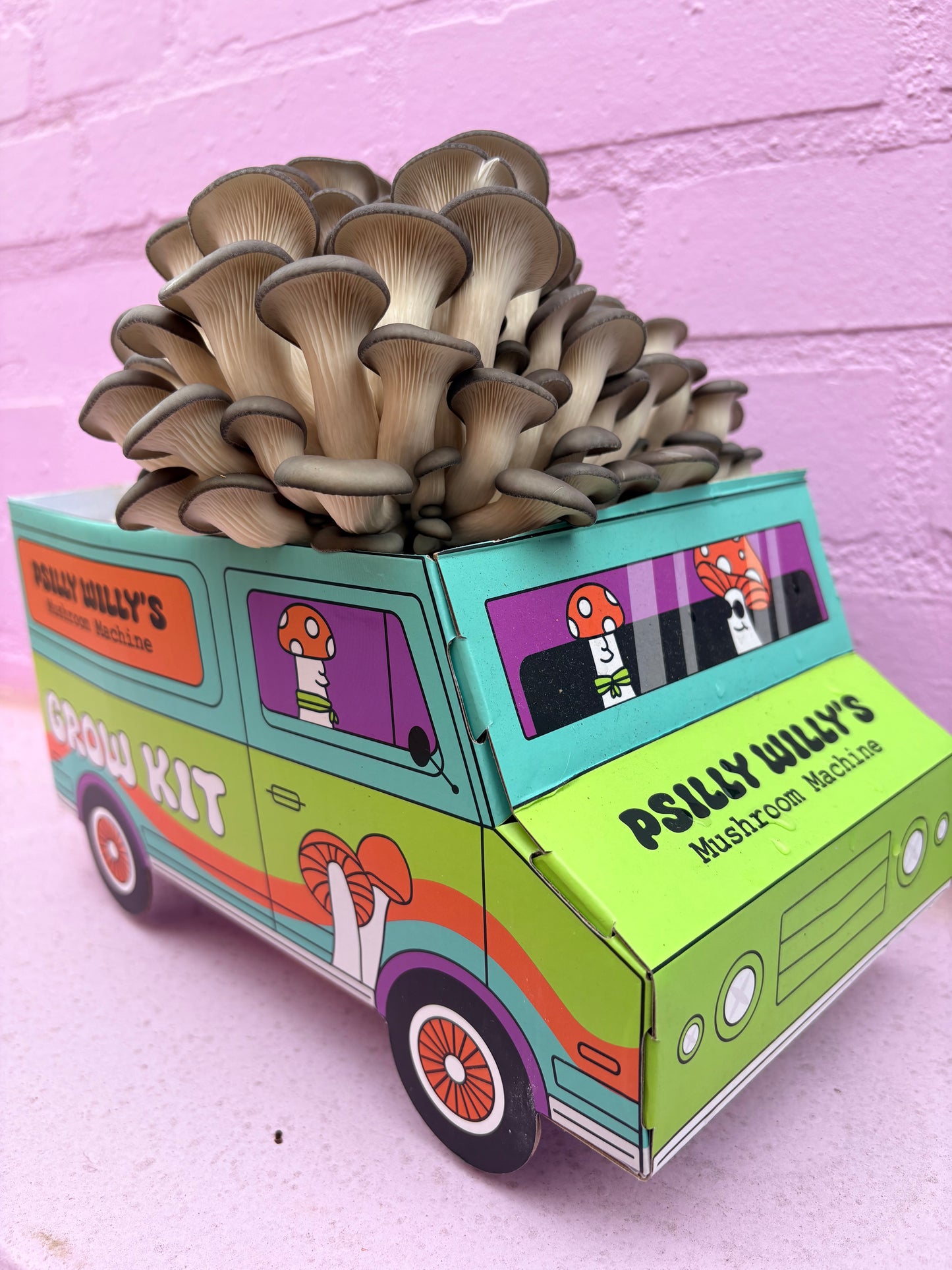 Oyster Mushroom Machine