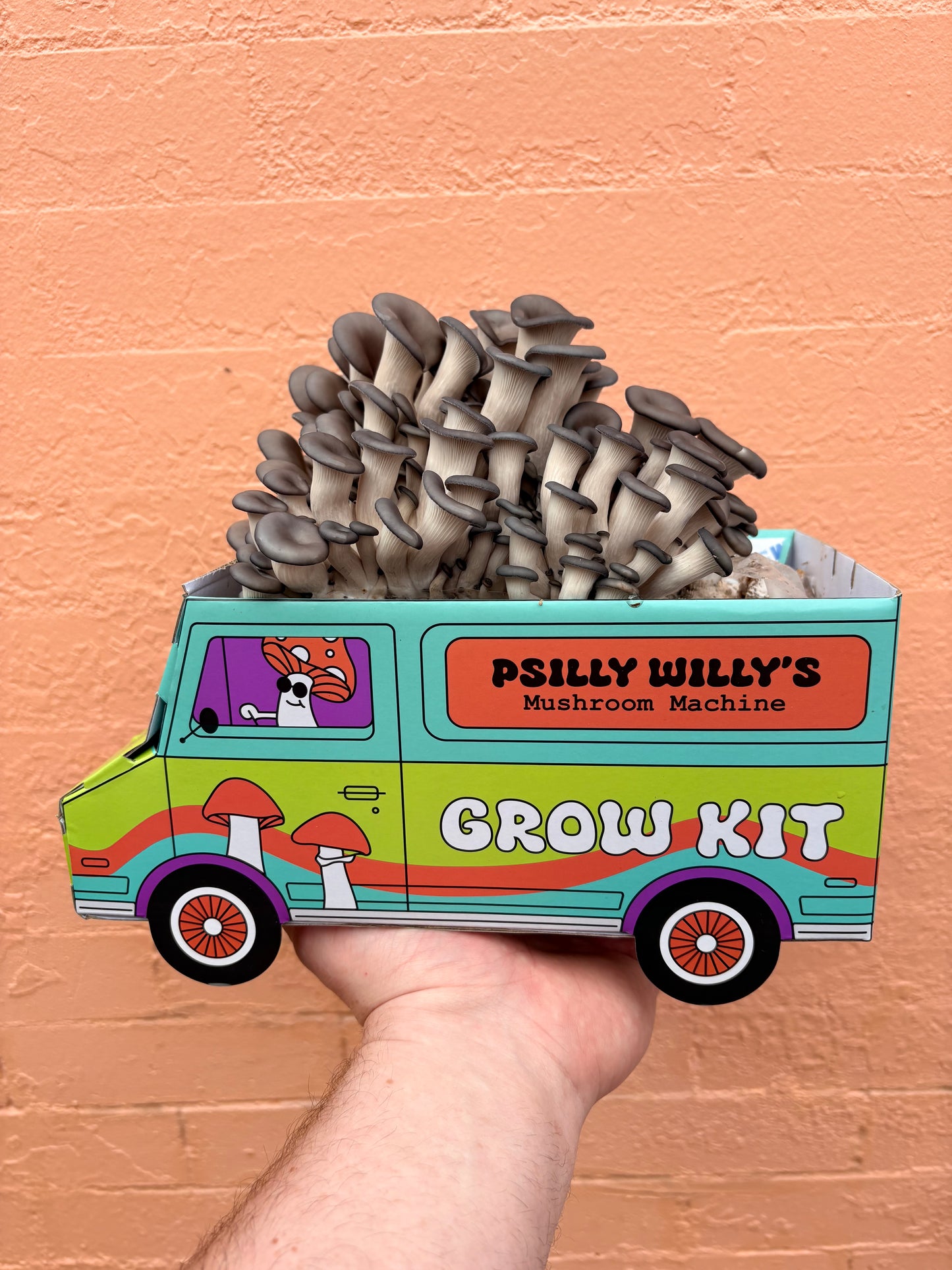 Oyster Mushroom Machine