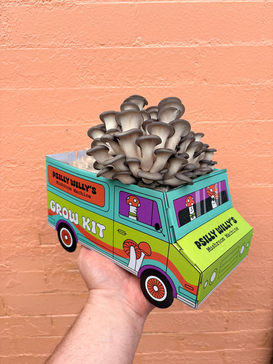 Oyster Mushroom Machine