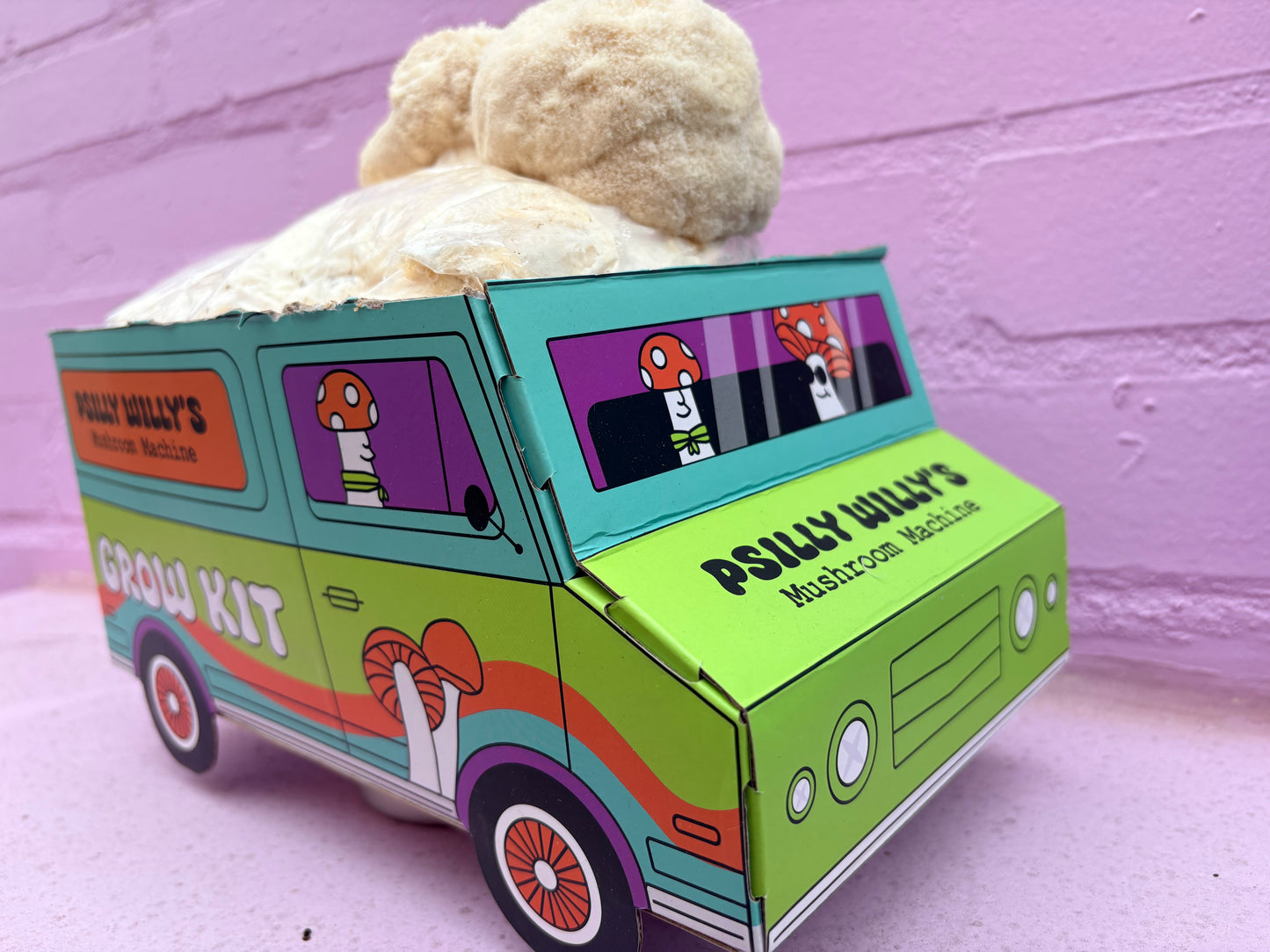 Lions Mane Mushroom Machine