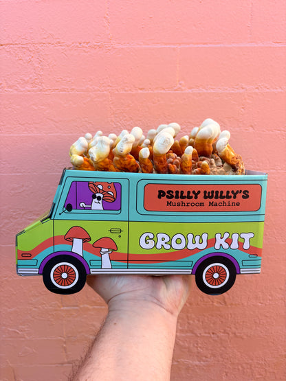 Reishi Mushroom Machine