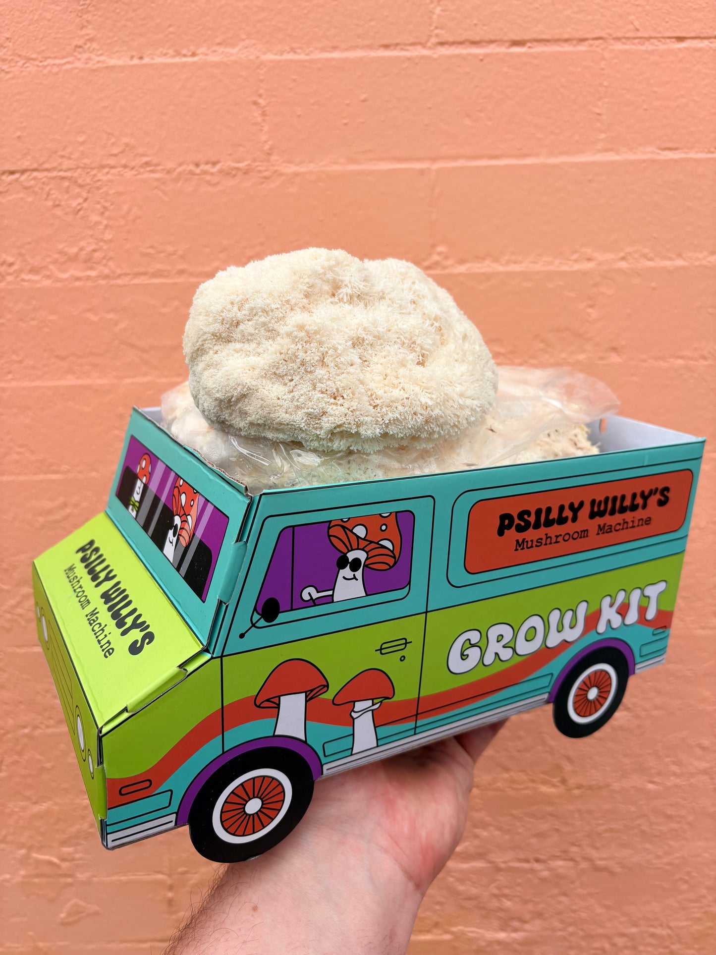 Lions Mane Mushroom Machine