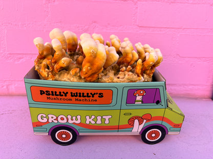 Reishi Mushroom Machine