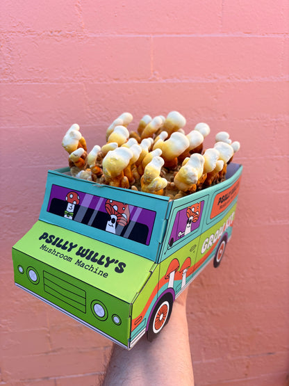 Reishi Mushroom Machine