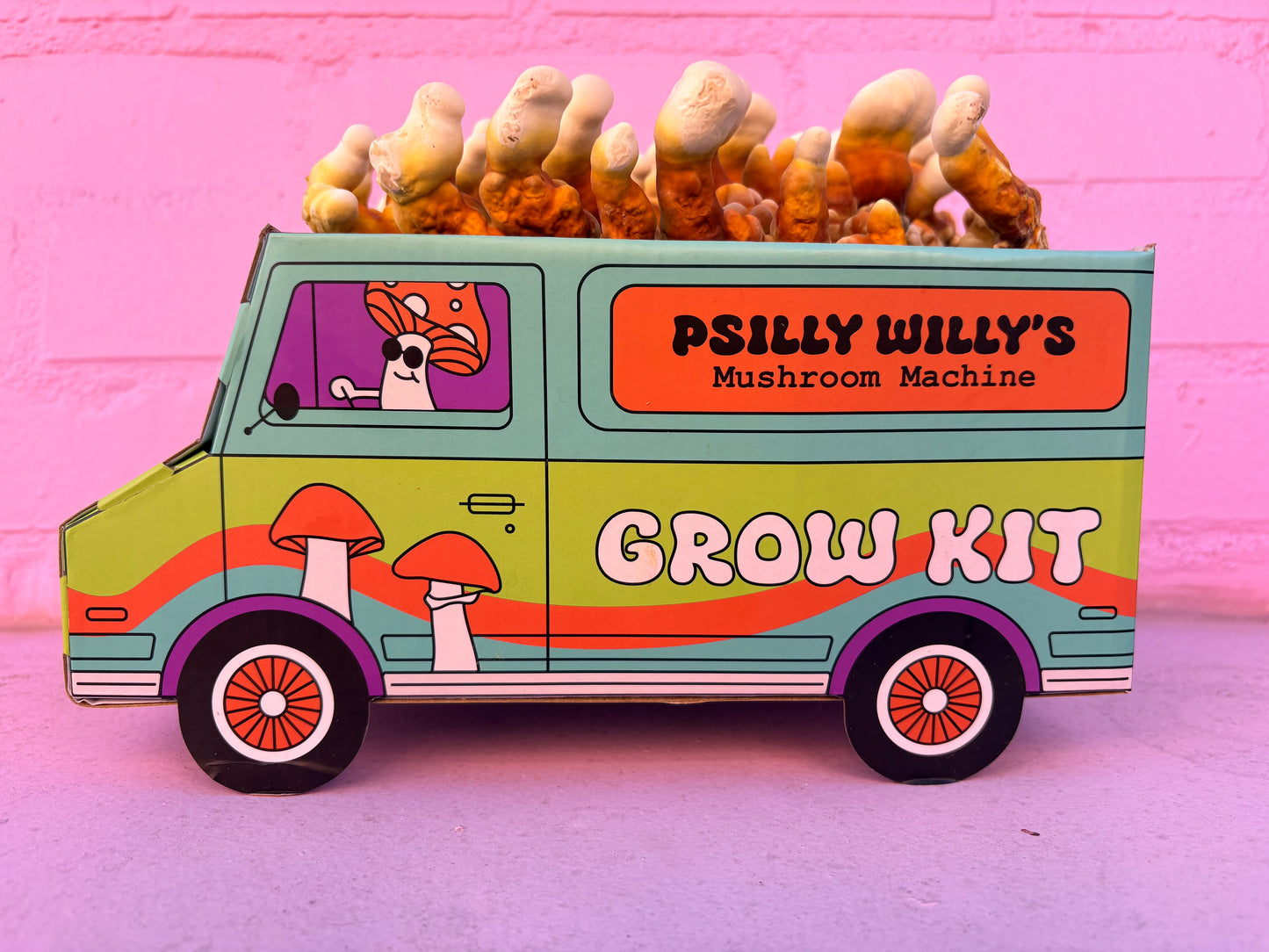 Reishi Mushroom Machine