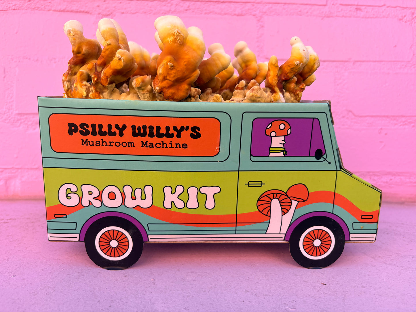 Reishi Mushroom Machine