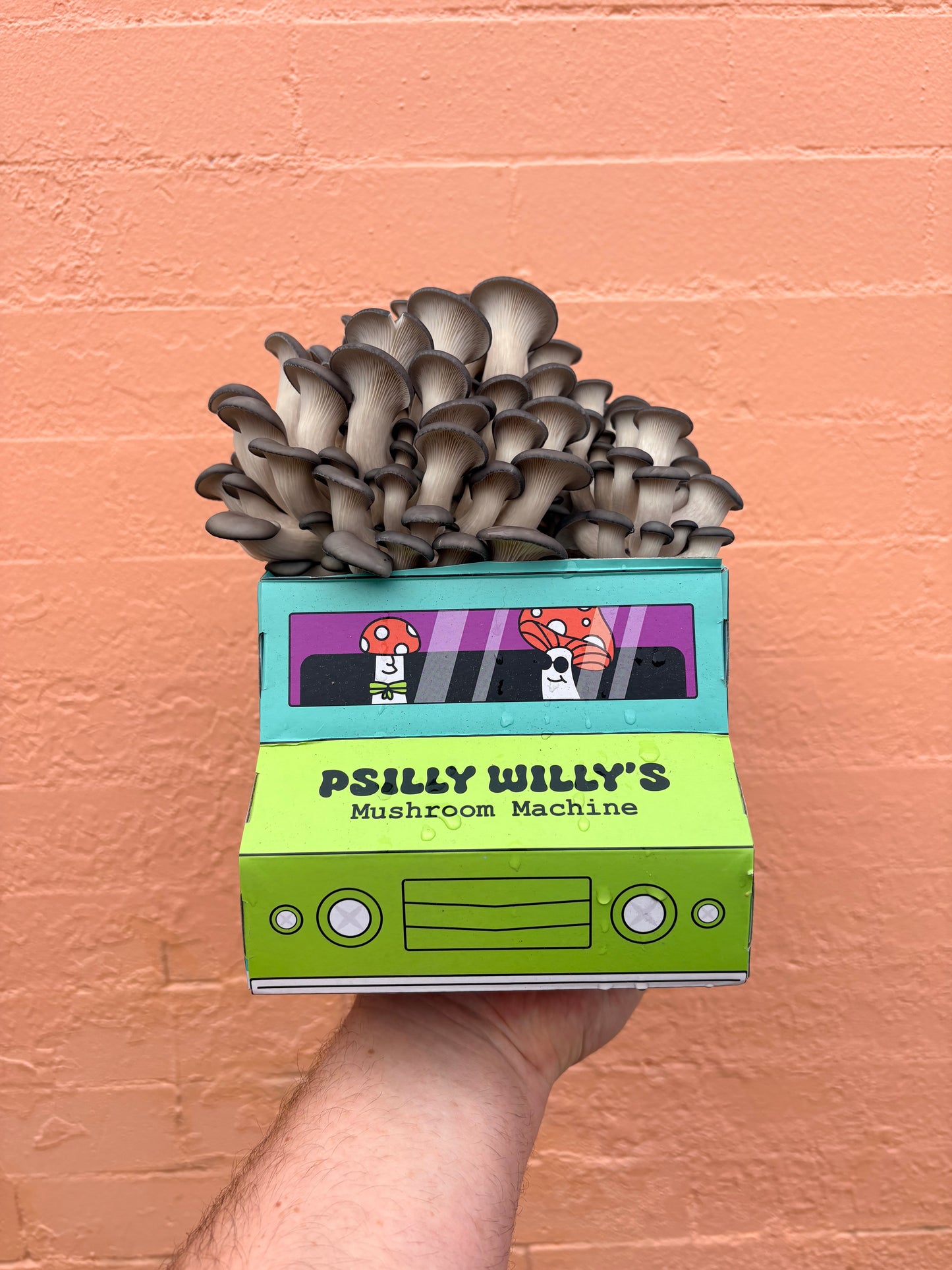 Oyster Mushroom Machine