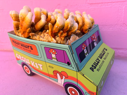 Reishi Mushroom Machine