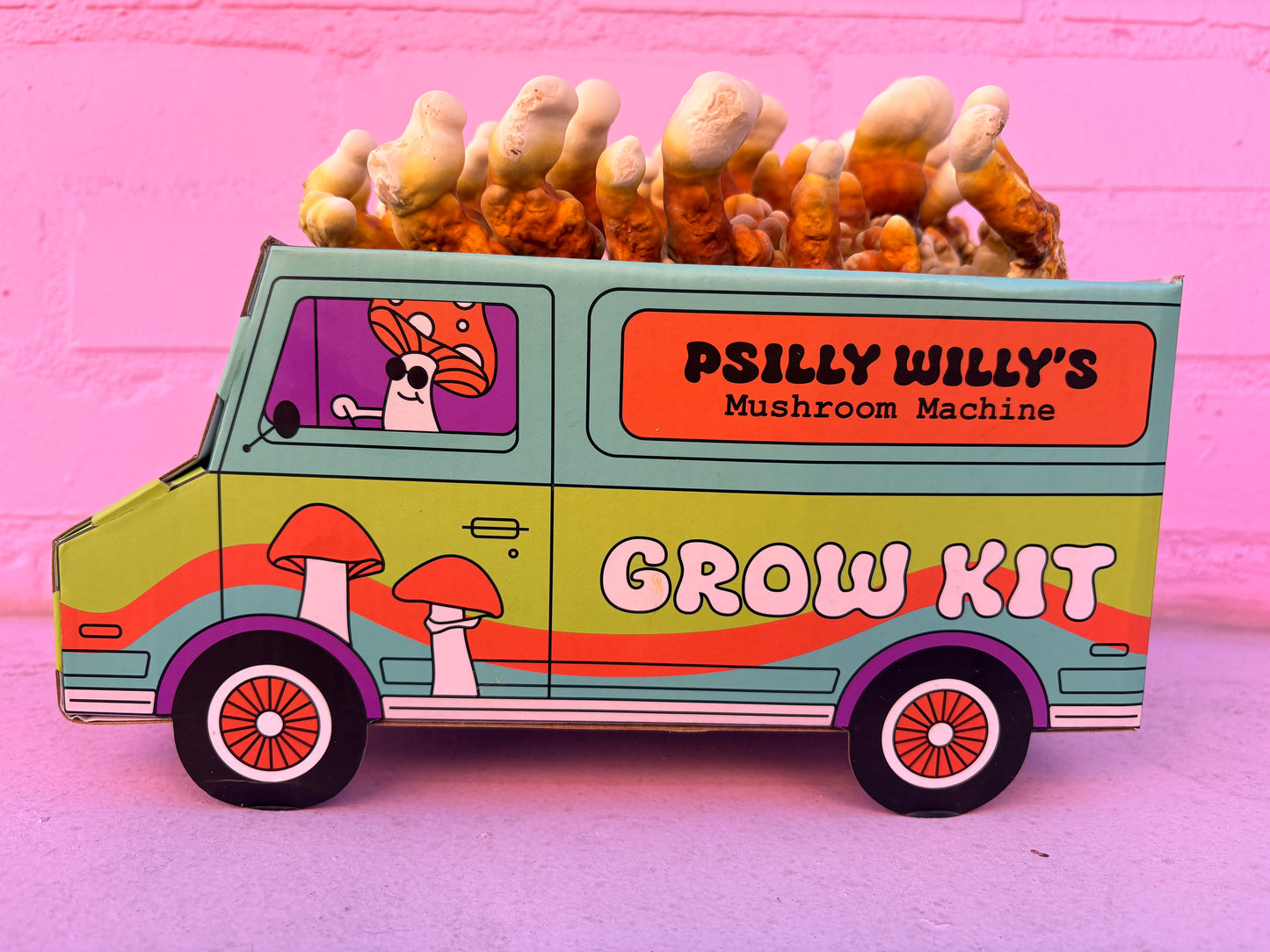 Reishi Mushroom Machine