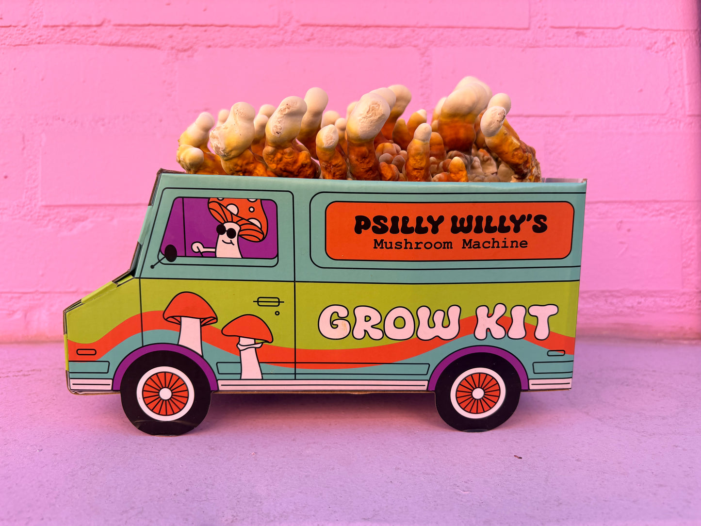 Reishi Mushroom Machine