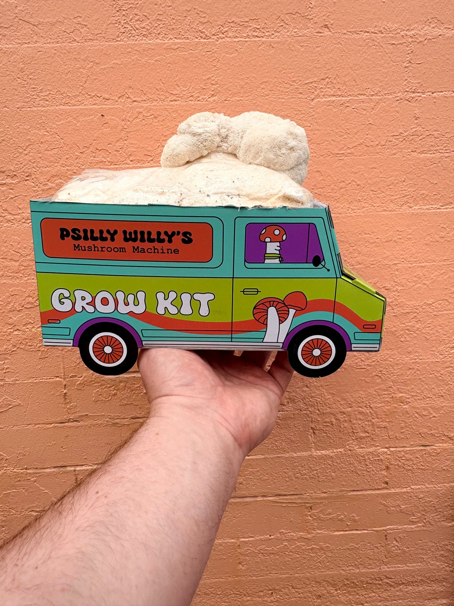 Lions Mane Mushroom Machine