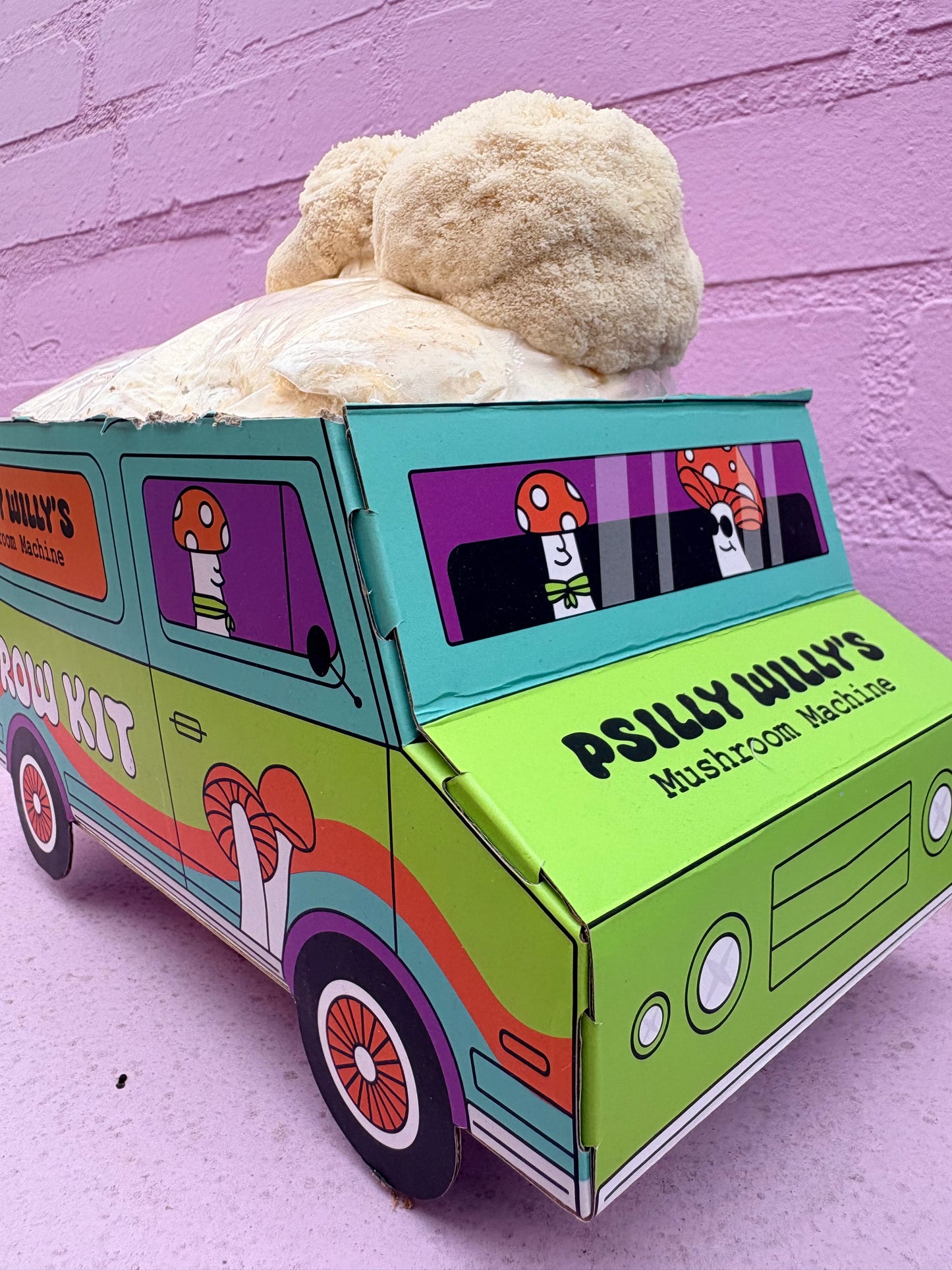 Lions Mane Mushroom Machine