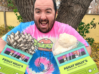 Counter Culture Mushroom Machine